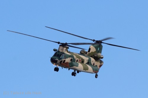 2014入間基地航空祭：CH-47J